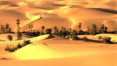 Landscapes nature deserts