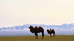 Landscapes nature deserts