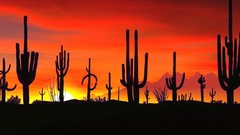 Landscapes nature deserts