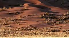 Landscapes nature deserts