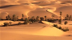 Landscapes nature deserts