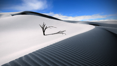 Landscapes nature deserts Dune