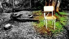 Landscapes nature desks selective coloring 5150