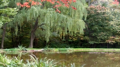 Landscapes nature dual screen