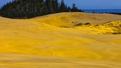 Landscapes nature dunes Oregon National