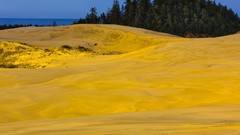 Landscapes nature dunes Oregon National