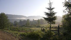 Landscapes nature Earth viewscape