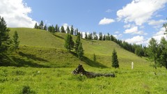 Landscapes nature Earth viewscape