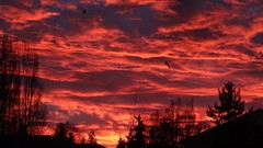 Landscapes nature Electronic Arts