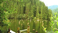 Landscapes nature Europe eastern