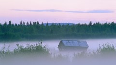 Landscapes nature evening sweden mist forests
