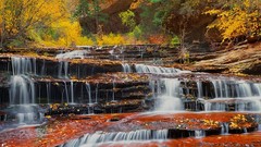 Landscapes nature falls forests