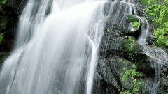 Landscapes nature falls national park Tennessee great smoky 
