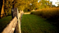 Landscapes nature fences