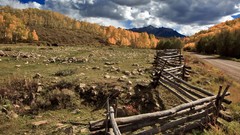 Landscapes nature fences