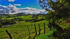 Landscapes nature fences