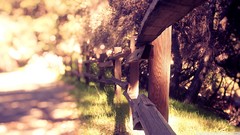 Landscapes nature fences