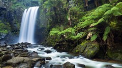 Landscapes nature Ferns waterfalls rocks landmark