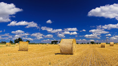 Landscapes nature fields