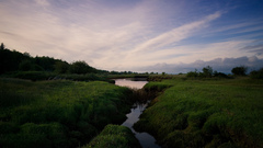 Landscapes nature fields
