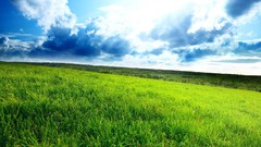 Landscapes nature fields