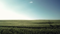 Landscapes nature fields