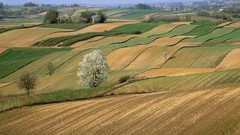Landscapes nature fields