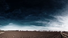 Landscapes nature fields