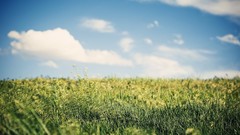 Landscapes nature fields