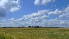 Landscapes nature fields