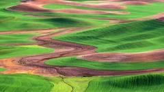 Landscapes nature fields