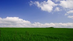 Landscapes nature fields