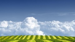 Landscapes nature fields