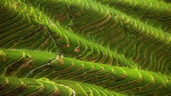 Landscapes nature fields