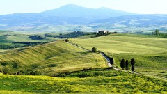 Landscapes nature fields