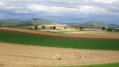 Landscapes nature fields
