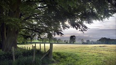 Landscapes nature fields