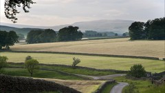Landscapes nature fields