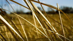 Landscapes nature fields Desktopography