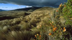 Landscapes nature fields HDR