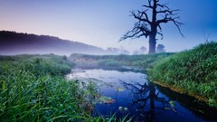 Landscapes nature fields lakes
