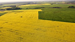 Landscapes nature fields lithuania Baltic states unseen 