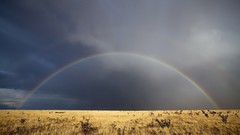 Landscapes nature fields rainbows