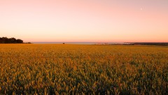 Landscapes nature fields skylines