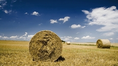 Landscapes nature fields skyscapes