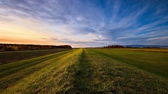 Landscapes nature fields skyscapes