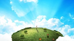 Landscapes nature fields skyscapes