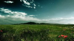 Landscapes nature fields skyscapes