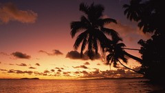 Landscapes nature Fiji