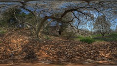 Landscapes nature fisheye effect